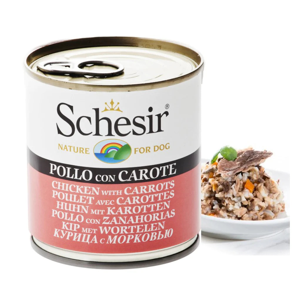Schesir Chicken and Rice with Carrot in Jelly Dog Wet Food
