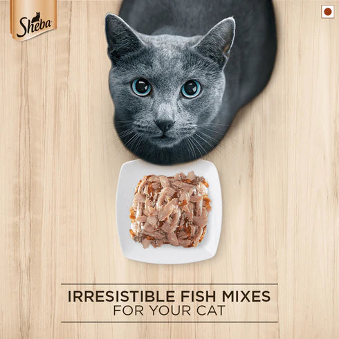 Sheba Fish with Dry Bonito Flake Cat Wet Food, 35 gm