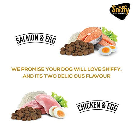 Sniffy Salmon & Egg - Puppy