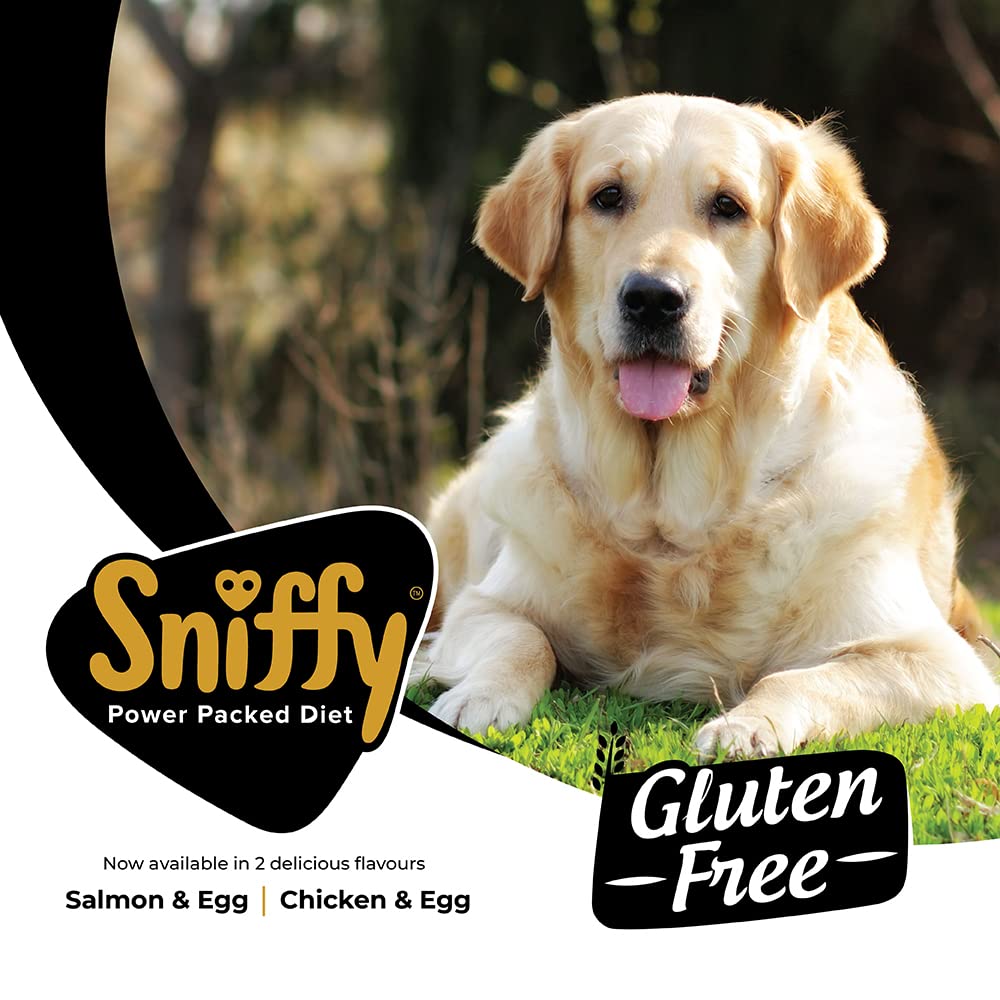 Sniffy - Chicken & Egg - Puppy