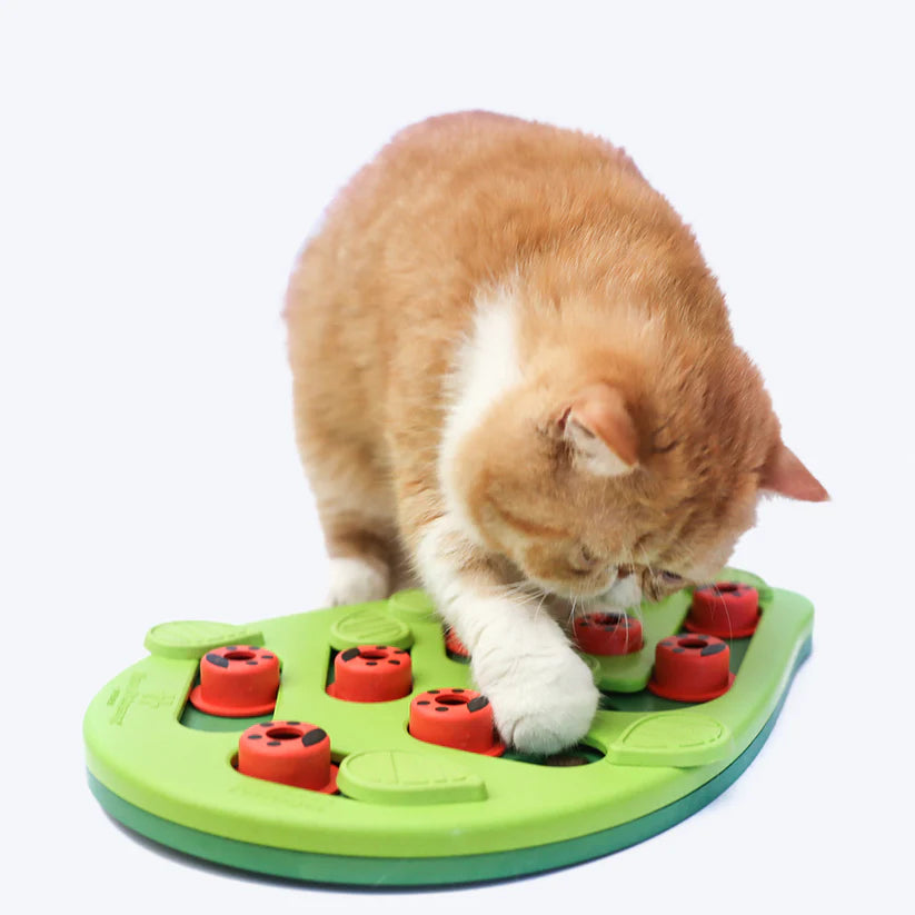 Buggin’ Out Puzzle & Play Cat Game