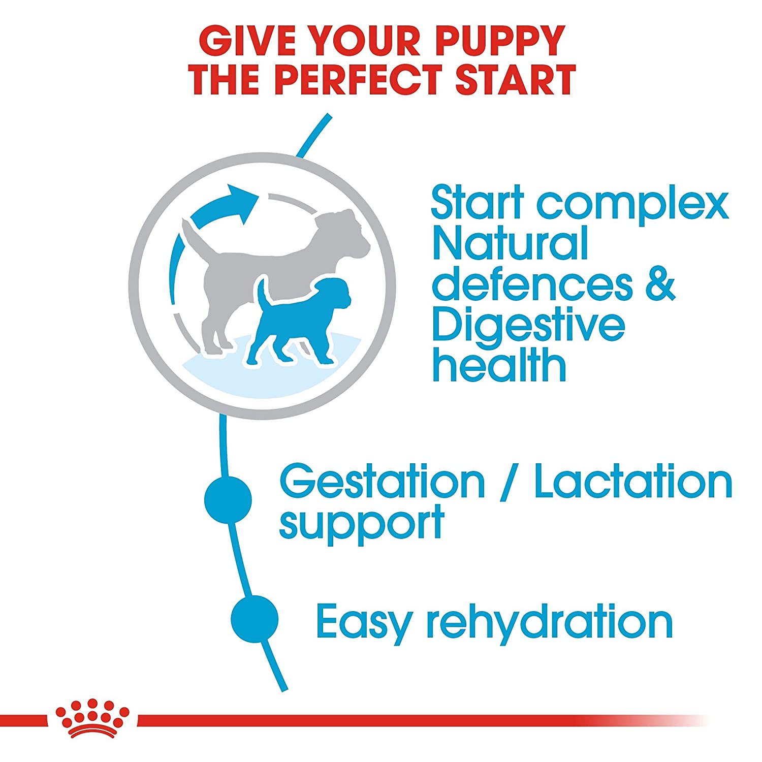 Royal Canin Mini Starter Mother & Baby Dog Dry Dog Food