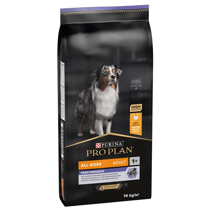 Purina Adult Pro Plan Performance  Dry Dog Food