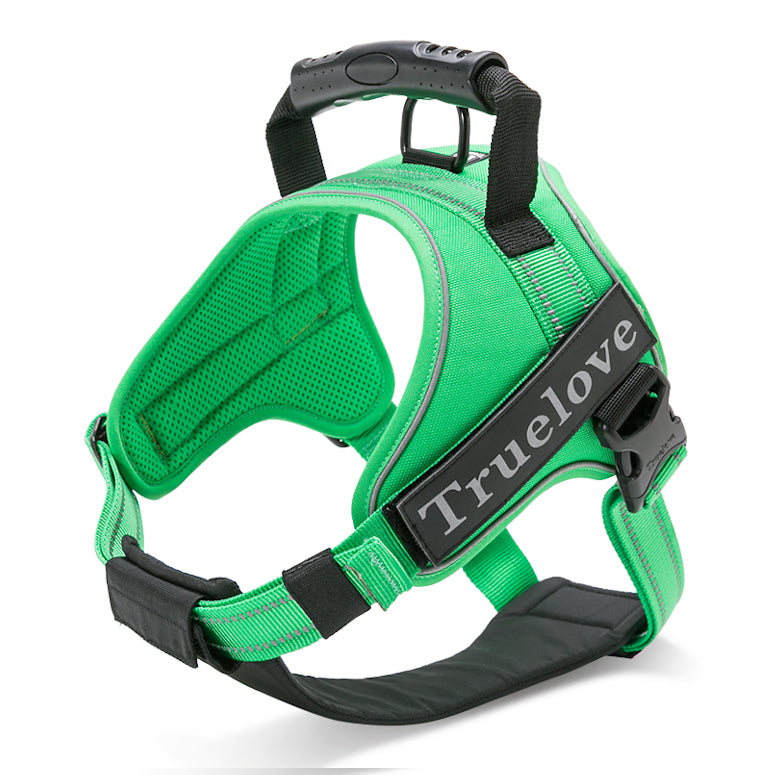 Classic Strap Harness for Dogs (Green) - Truelove