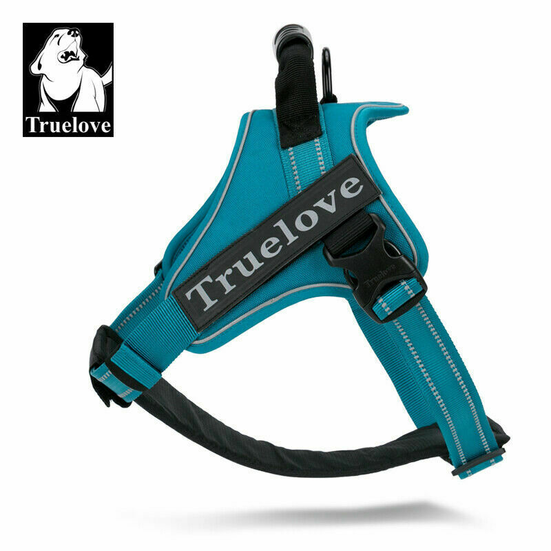 Classic Strap Harness for Dogs (Blue) - Truelove