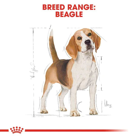  Canin Royal  Beagle Adult Dog Food Dry