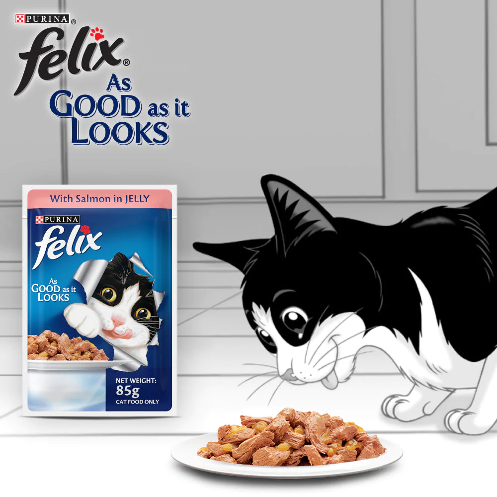 Purina Felix Salmon with Jelly Adult Cat Wet Food
