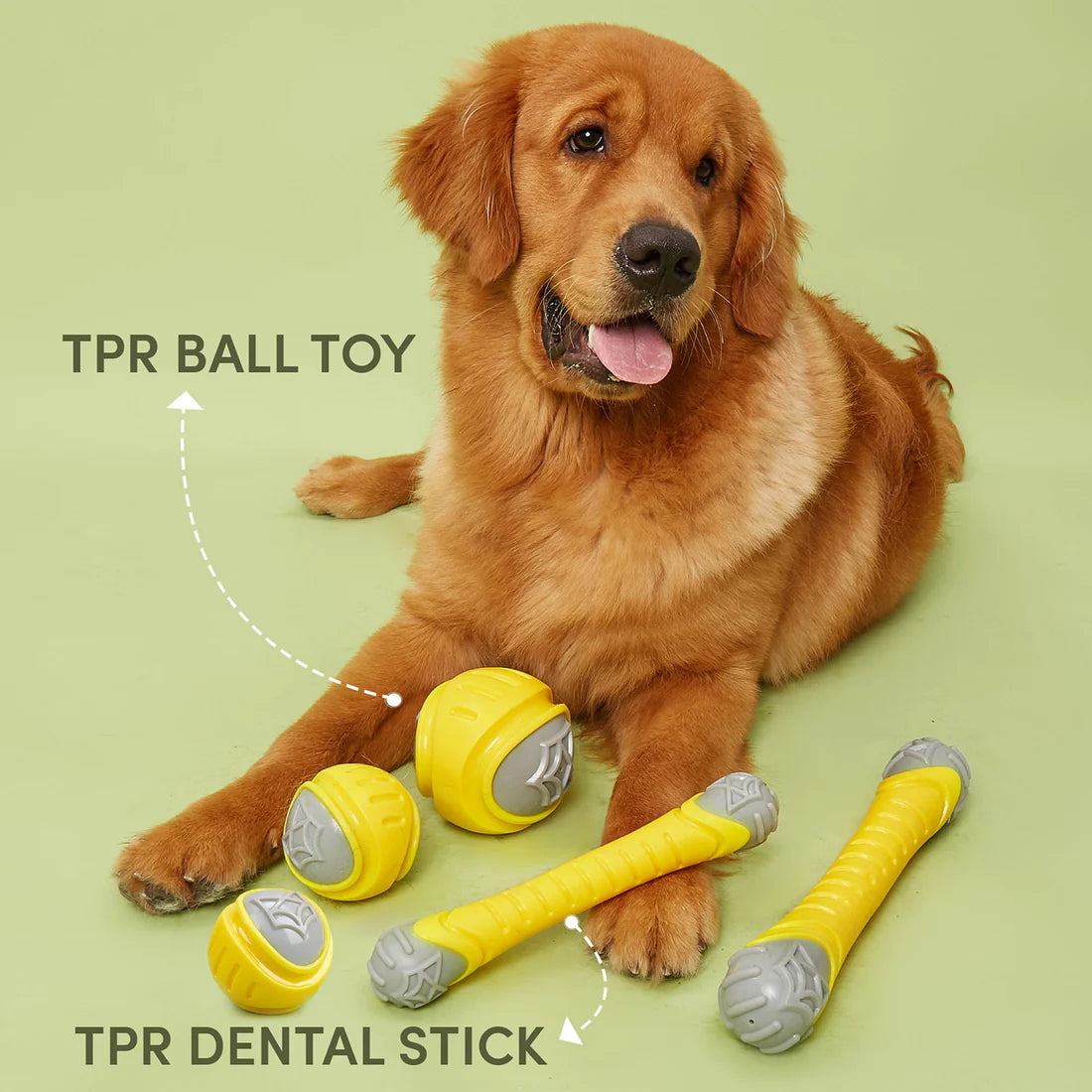 Fofos - Flexy Bone Durable Chew Toy For Dogs