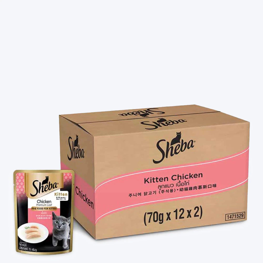 Sheba Chicken Premium Loaf Wet Kitten Food - 70 g