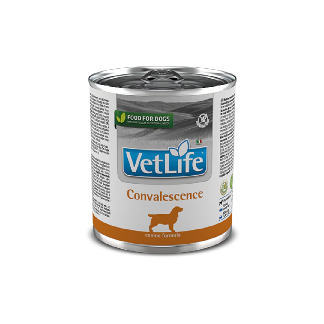 Farmina VetLife Convalescence Dog Wet Food 300gm