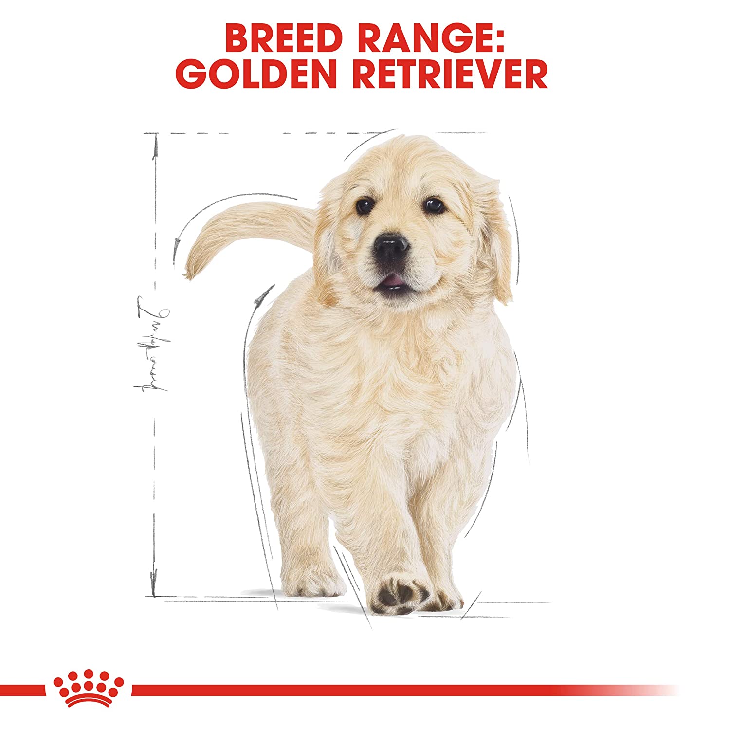 Royal Canin Golden Retriever Puppy (2-15 months) Dry Food