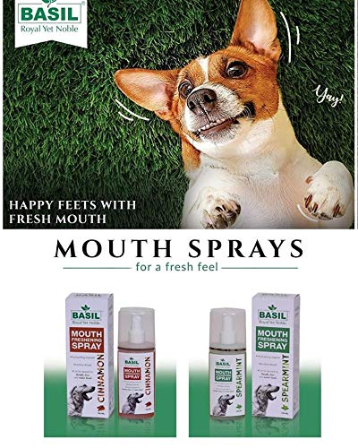 Basil Dog Mouth Freshening Spray (Spearmint | Cinnamon, 130 ml (Dental Hygiene Pack)