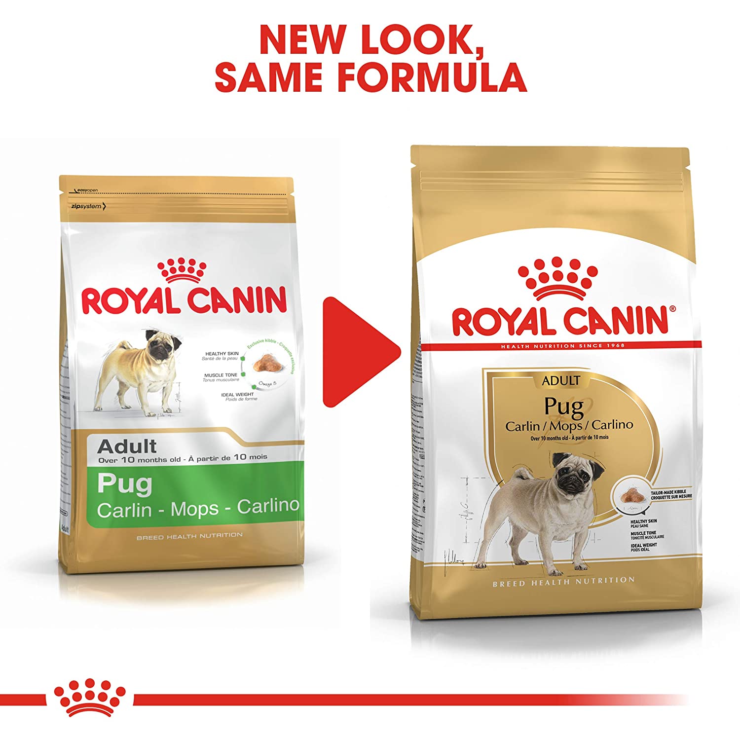 Royal Canin Pug Dry Dog Food (1+)