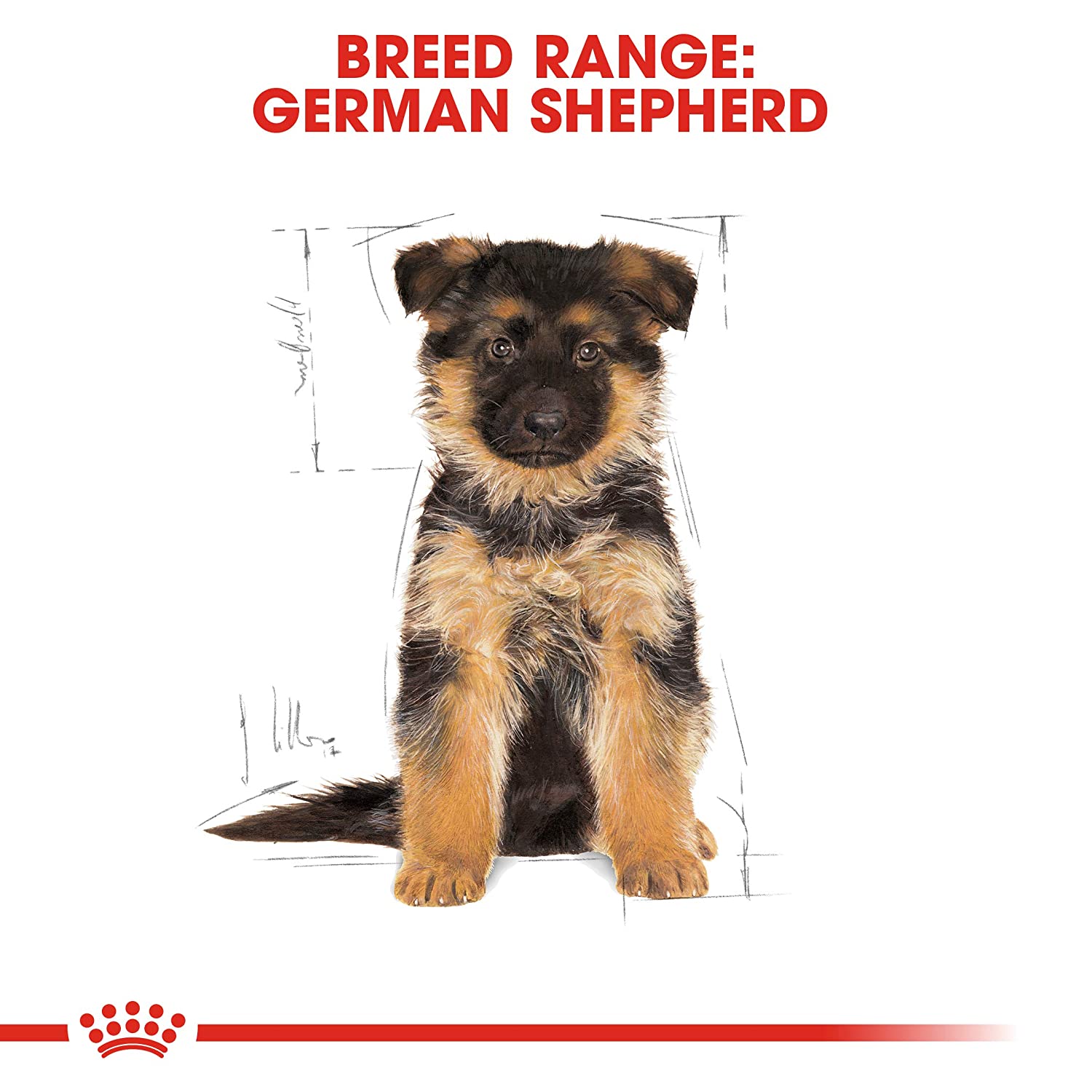 Royal Canin German Shephard Puppy Dry Food (2-15 months)