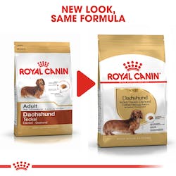 Royal Canin Dachshund Adult Food For Dog 