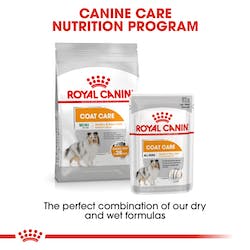 Royal Canin Coat Care Mini Dog Food
