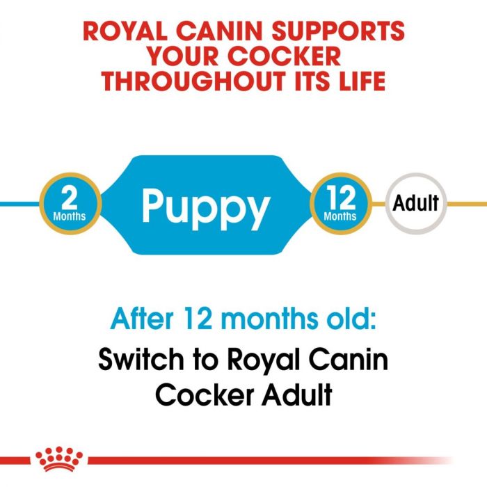 Cocker Royal Canin Puppy Food
