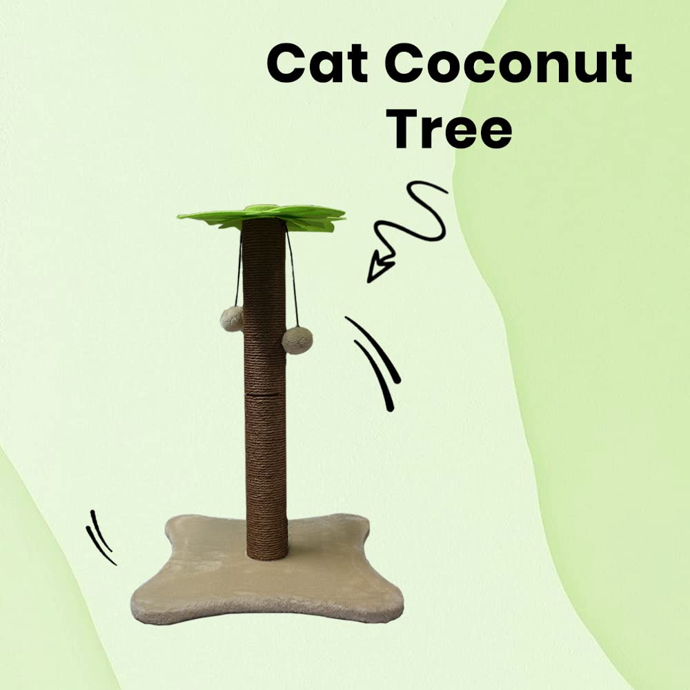 Cat Scratcher and Catnip with Toy