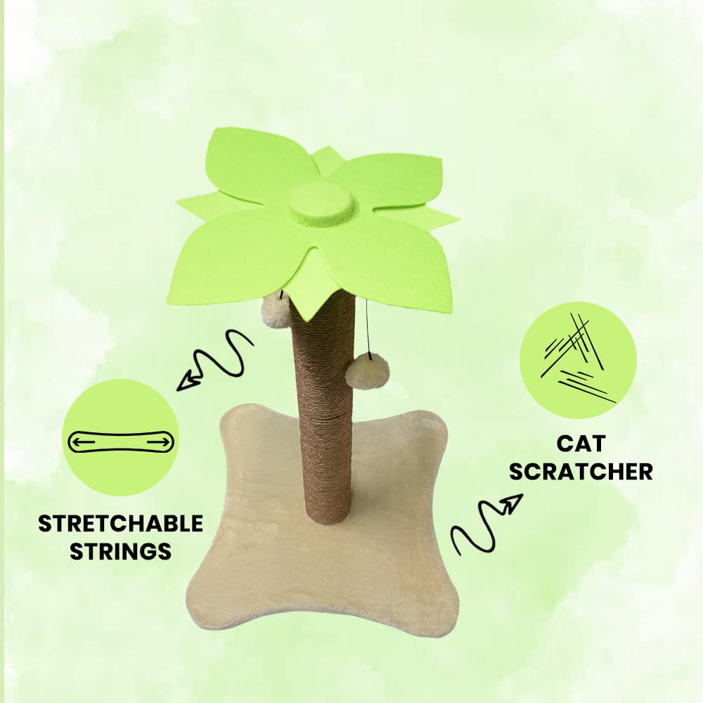 Cat Scratcher and Catnip with Toy