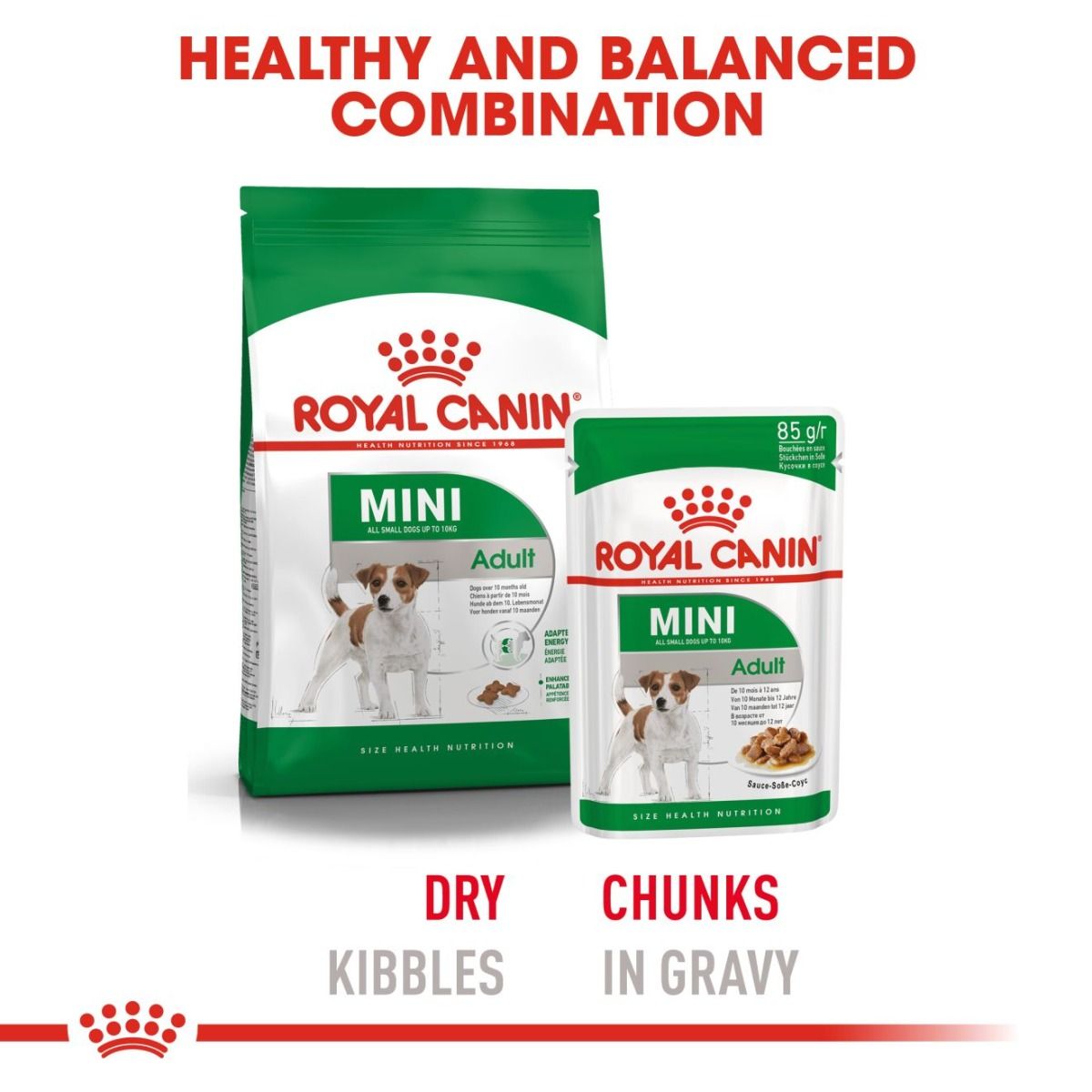 Royal Canin Mini Adult (Gravy) Pack Of 12 (85 gm)