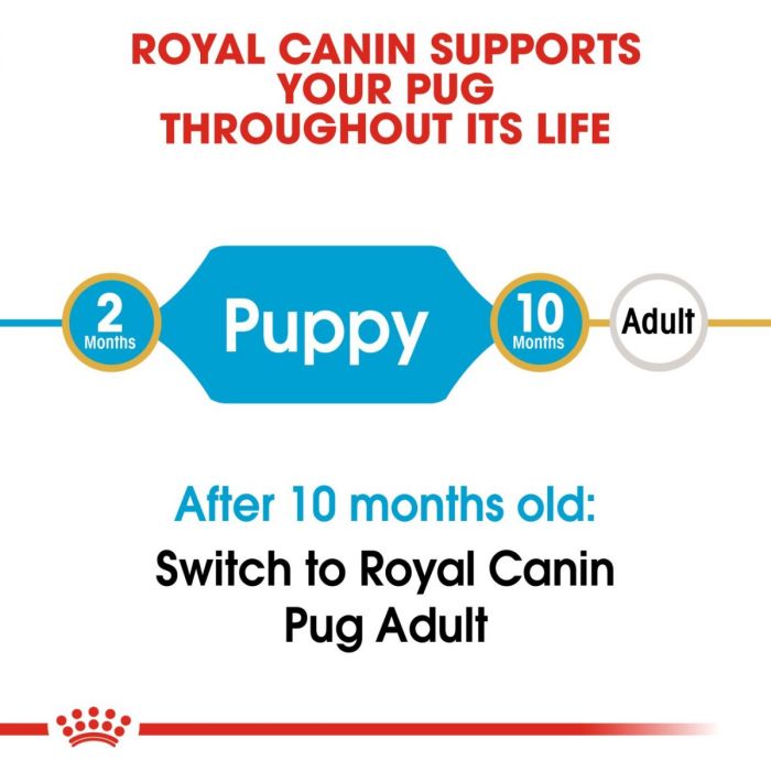 Royal Canin Pug Puppy Food